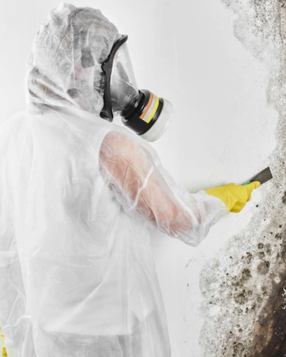 Why Choose TCWRC Water Damage Clearwater?