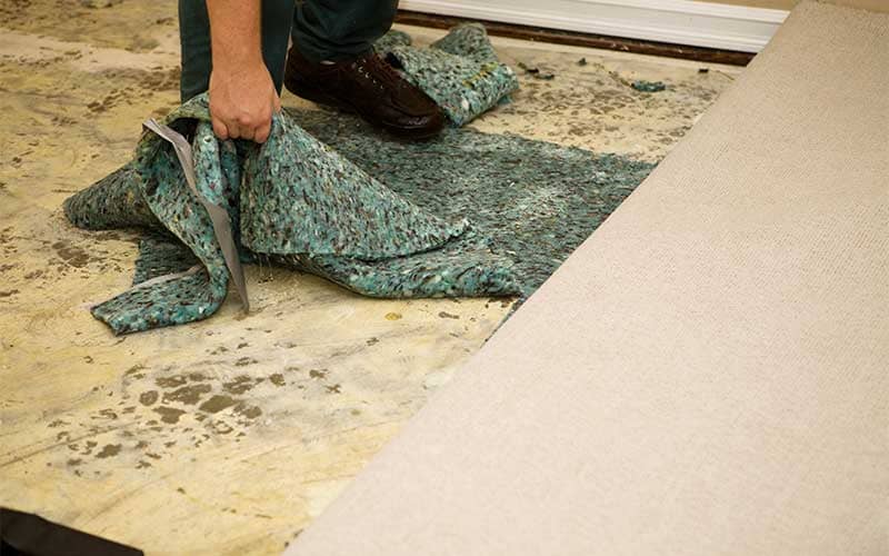 Flood Damage Restoration Clearwater, FL | 24/7 Emergency Flood Cleanup & Repair
