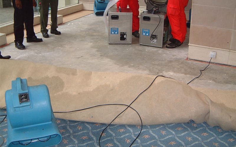 Expert Flood Damage Restoration in Clearwater, FL – Fast, Reliable & Available 24/7
