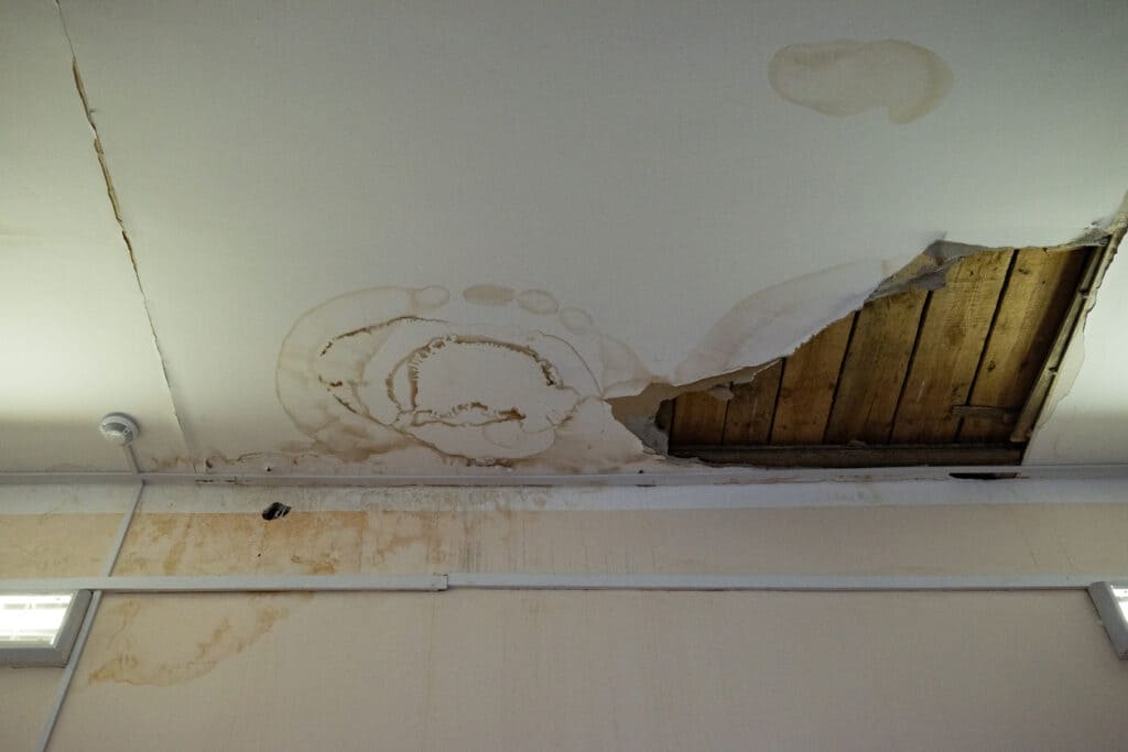Top Signs of Hidden Water Damage in Clearwater Homes